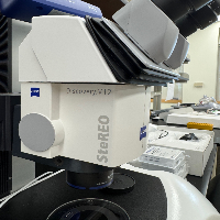 Zeiss Discovery.V12 STeREO Microscope image 1
